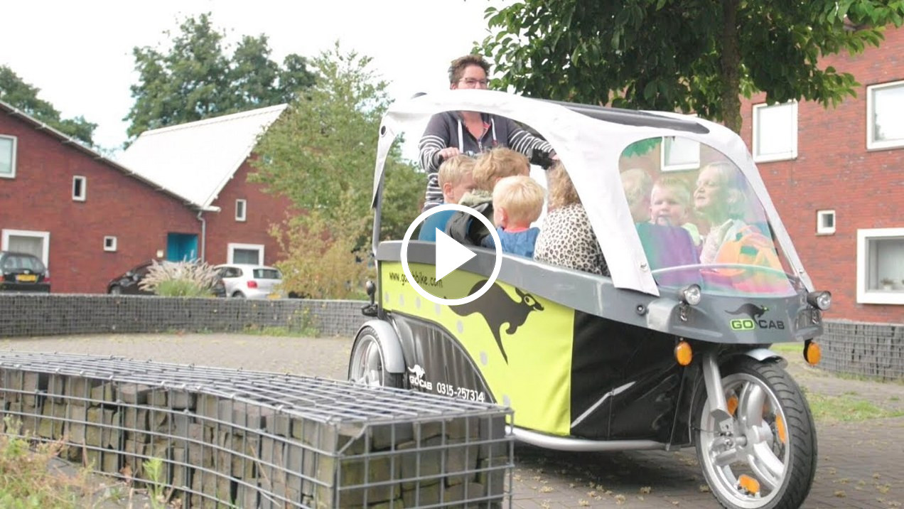 Van Raam Bso Fiets